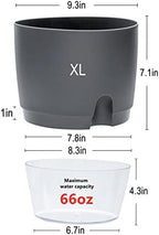 Self Watering Planter for Indoor Plants, 2 Pack 9.3 Inch Flower Pot Modern Decorative Plastic Planter with Extra Large Water Storage for All House Plants, Flowers, Herbs(Gray) - Image 6