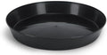 Saucers, 6 Inch, Black, Case of 100 Plant Saucers by AustinPlanter