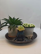 4 Pack 14inch Decorative Sturdy Plant Saucer,Antique Silver Plastic Plant drip Tray Stylish Round Plant Tray - Image 7