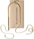 Beautiful Self-Watering Wick System for Effortless Plant Care, Automatic Drip Irrigation, Sustainable & Stylish Scandinavian Design, Ideal for House Plants (S, Brass Patina) by PLANTSTRAWS