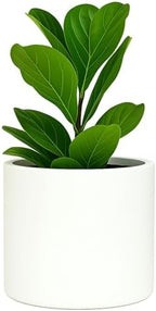 Fox & Fern Large Planter for Indoor or Outdoor, White Matte, 8 Inch by FoxFern