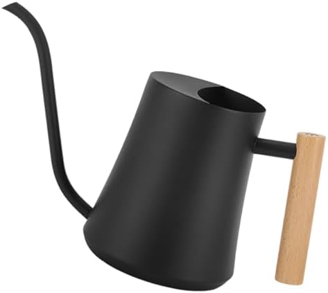 Retro Stainless Steel Long Spout Watering Can with Wooden Handle by JOINPAYA