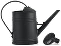 Watering Can 2L 13x9 Inch Black Plastic Plant Watering Can with Handle & Sprinkler Head Easy Filling Device for Indoor Garden Balcony - Water by Tuimiyisou