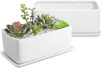 MyGift White Ceramic Succulent Planter with Drainage & Saucer, 2 Pack by MyGiftHome