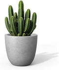 Kante Small Round Bowl Pale Gray Concrete Planter 10" Dia, Outdoor by Unknown