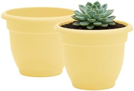 Bloem Ariana 12" Plastic Self-Watering Planter, Daffodil, 2-Pack by Bloem