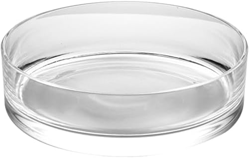 Glass Terrarium for Flower Arrangement, Decorative Planter - Image 3