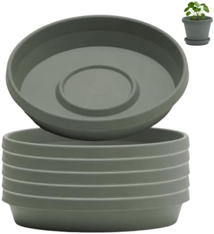Bloem Terra Plastic Saucer Tray for 12" Terra Planters, Basil, 6-Pack by Bloem