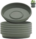 Bloem Terra Plastic Saucer Tray for 12" Terra Planters, Basil, 6-Pack by Bloem
