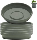 Bloem Terra Plastic Saucer Tray for 12" Terra Planters, Basil, 6-Pack by Bloem