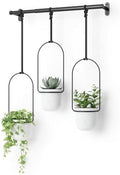 Umbra Triflora Hanging Planter, Indoor Herb Garden, Set of 3, White/Black by Umbra