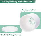 D'vine Dev 2-Pack White Plastic Planters with Saucers, 6.5 in, 74-Z-L-1 - Image 4