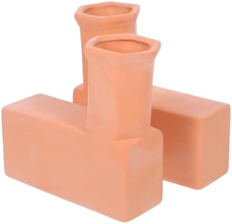 Abaodam Terracotta Self Watering Plant Spikes for Plants, Brown Root Level by Abaodam