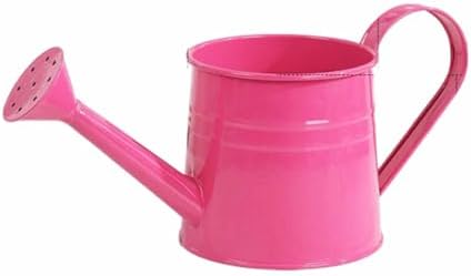 Watering Can Outdoor, 0.3 Gallon Long Spout Small Galvanized Metal Watering Can Outdoor with Handle and Sprinkler Head,Cute Metal Watering Can for Garden House Plants Flower Bonsai Indoor by KELINFONG