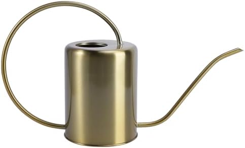 Stainless Steel Watering Can 2000ml Golden Long Spout by Toddmomy