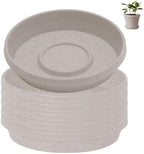 Bloem Terra Plastic Saucer Tray for 12" Terra Planter, Vanilla Bean, 6-Pack by Bloem