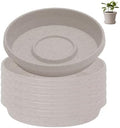 Bloem Terra Plastic Saucer Tray for 8" Terra Planters, Vanilla Bean, 6-Pack by Bloem