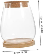 Xmas Glass Terrarium with Lid, Decorative Micro Landscaping Container - Image 4