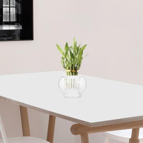 Totority Hydroponic Plant Vase Round Glass Desktop Planter - Image 7