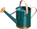Metal Watering Can 1 Gallon for Outdoor Indoor Garden Plants,GreenB by yourjoy