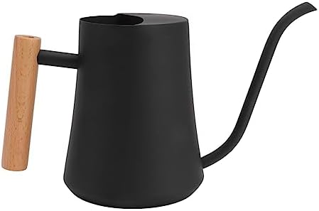 WALFRONT Watering Can Stainless Steel Watering Can, 1000ml Plant with - Image 3