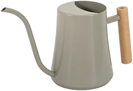 Watering Can for Indoor Plants, 1L Small Stainless Steel Watering Pot with Long Spout, Wood Handle, Metal Water Can for House Plant Garden Flower Outdoor (Gray) by oreilet