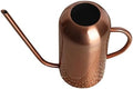 Vintage Stainless Steel Watering Can, 1.5l Coffee Flower Pot by GANAZONOEnjoyYourLife