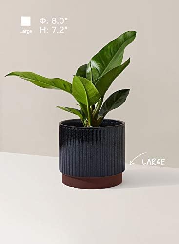 LE TAUCI Ceramic Plant Pots with Drainage Holes, Set of 3, 8+6.7+5.5 Inch Stripe Garden Planter Pots for Outdoor Indoor Plants Flower, Round Succulent Orchid Flower Pot, Reactive Glaze Black - Image 3
