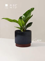 LE TAUCI Ceramic Plant Pots with Drainage Holes, Set of 3, 8+6.7+5.5 Inch Stripe Garden Planter Pots for Outdoor Indoor Plants Flower, Round Succulent Orchid Flower Pot, Reactive Glaze Black - Image 3