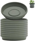 Bloem Terra Plastic Saucer Tray for 6" Terra Planters, Basil, 10-Pack by Bloem