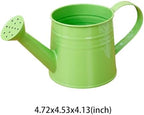 1L Retro Metal Painted Watering Can with Long Spout & Handle - Image 6