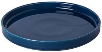 Ceramic Flower Pot Saucers, 9 Inch Plant Pot Saucers for Indoors Plants, Plant Trays for Pots Holding Water Drips and Soil, Drainage Tray for Plant Pot (Blue) by Fzfeiyy