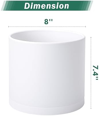 D'vine Dev 2-Pack White Plastic Planters with Saucers, 8 in, 74-Z-M-1 - Image 2