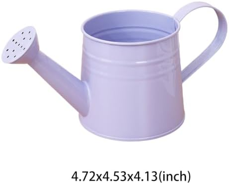 1L Retro Metal Painted Watering Can with Long Spout & Handle Flower Plant - Image 6