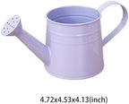 1L Retro Metal Painted Watering Can with Long Spout & Handle Flower Plant - Image 6