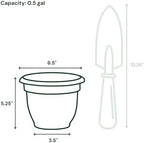 Bloem Ariana 6" Plastic Self-Watering Planter, Vanilla Bean, 4-Pack - Image 4