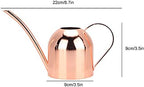 Copper Watering Can, Small Watering Can, 500ml Stainless Steel Watering Can for Indoor Plants (Rose Gold) - Image 2