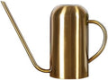 0.23 Gallon Plant Watering Can, Metal Decorative Modern Indoor Watering Cans for House Plants with Long Spout and Handle,Rustproof Stainless Steel Durable Water Can for Plants for Outdoor Garden by Unknown