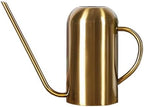 0.23 Gallon Plant Watering Can, Metal Decorative Modern Indoor Watering Cans for House Plants with Long Spout and Handle,Rustproof Stainless Steel Durable Water Can for Plants for Outdoor Garden by Unknown