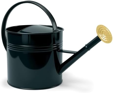 LONGRUN 2.5 Gallon Dark Green Metal Watering Can for Plants and Garden with Removable Spout, Made of Galvanized Iron by Longrun