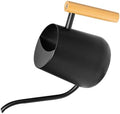 Watering Can Black Stainless Steel 1000ml with Wooden Handle by sewroro