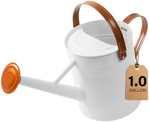 1 Gallon Watering Can for Outdoor&Indoor Plants，White by Shopwithgreen