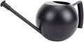SUNGOOYUE Stainless Steel Watering Can Metal Watering Can 1000ML Pot with Long Spout Leak Proof for Indoor Plants s by SUNGOOYUE