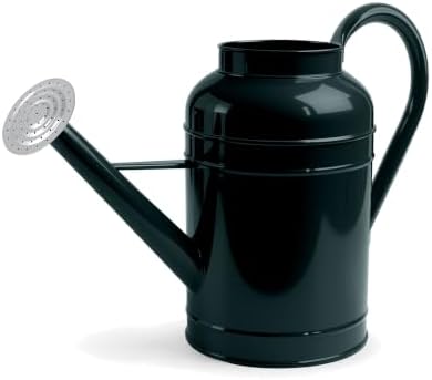 2.3 Gallon Dark Green Metal Watering Can, Galvanized Watering Can for Outdoor Indoor Plants, Large Water Can for Plants and Garden Flower, Pure Color by LONGRUNNEW