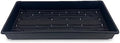 10 Plant Growing Trays (WITH Drain Holes) - 20" x 10" - Perfect Garden Seed Starter Grow Trays: For Seedlings, Indoor Gardening, Growing Microgreens, Wheatgrass & More - Soil or Hydroponic by 9GreenBox.com