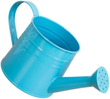 1L Retro Metal Painted Watering Can with Long Spout & Handle - Image 2
