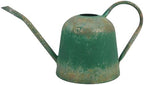 Large Watering Can Metal,Watering Can with Long Spout for Outdoor and Indoor Houseplants, 120oz/3.8L Large Plant Waterer by Unknown