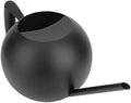 Stainless Steel Watering Can Black Long Spout Watering Pot 1000ml Metal Sprinkle Pot for Indoor Outdoor Plants Houseplants Bonsai Balcony Garden Use by Unknown