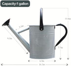 Metal Watering Can, 1 Gallon for Outdoor Garden Plants,SilverB - Image 5