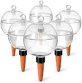 6 Pack Self-Watering Globes by Unknown